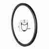 29 Inch Hunt Carbon Hookless Rims